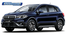 S-Cross Hybrid, Suzuki Sicilia