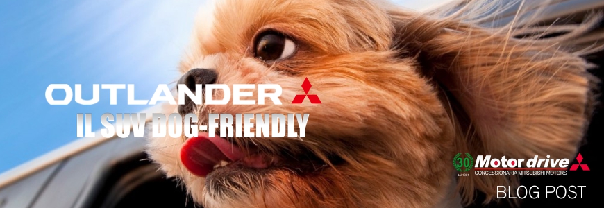 Mitsubishi Outlander dog-friendly Top SUV